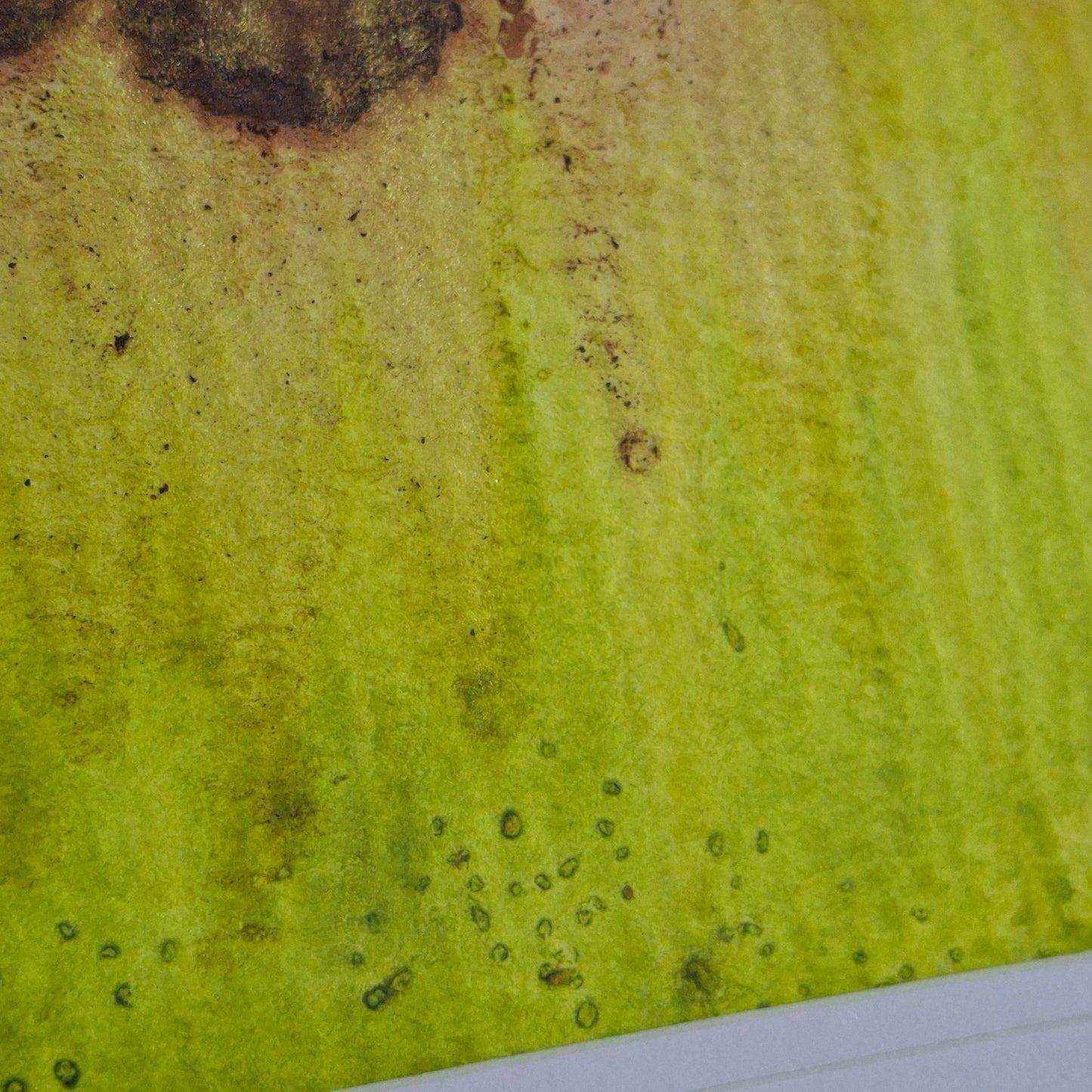 Meet Me in the Sunlight Original Abstract Artwork Green Gold Brown