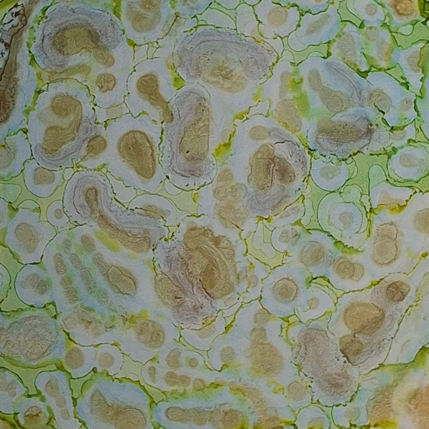 Memories Under the Microscope Original Abstract Art Gold Greens Alcohol Ink A3