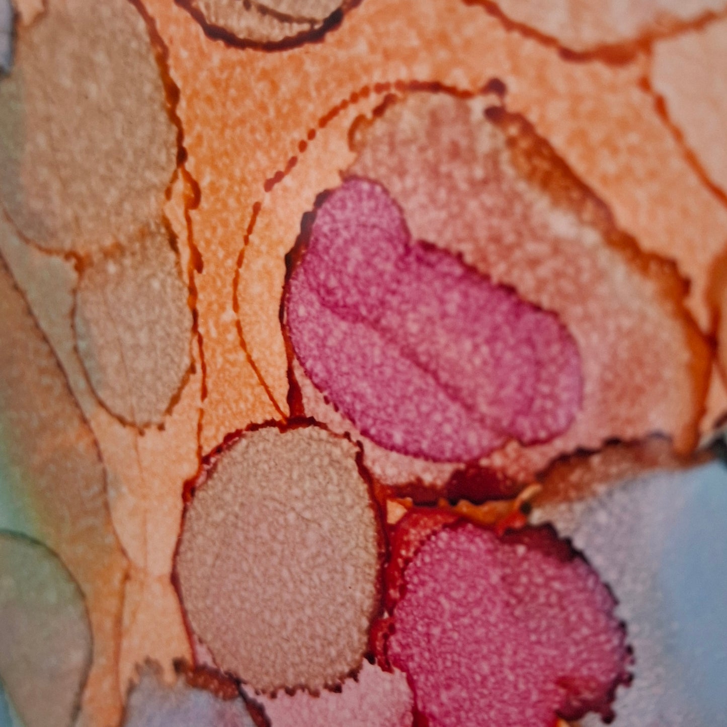 Coral Cay Original Artwork Mixed Blue Green Pink Beige Alcohol Ink A3