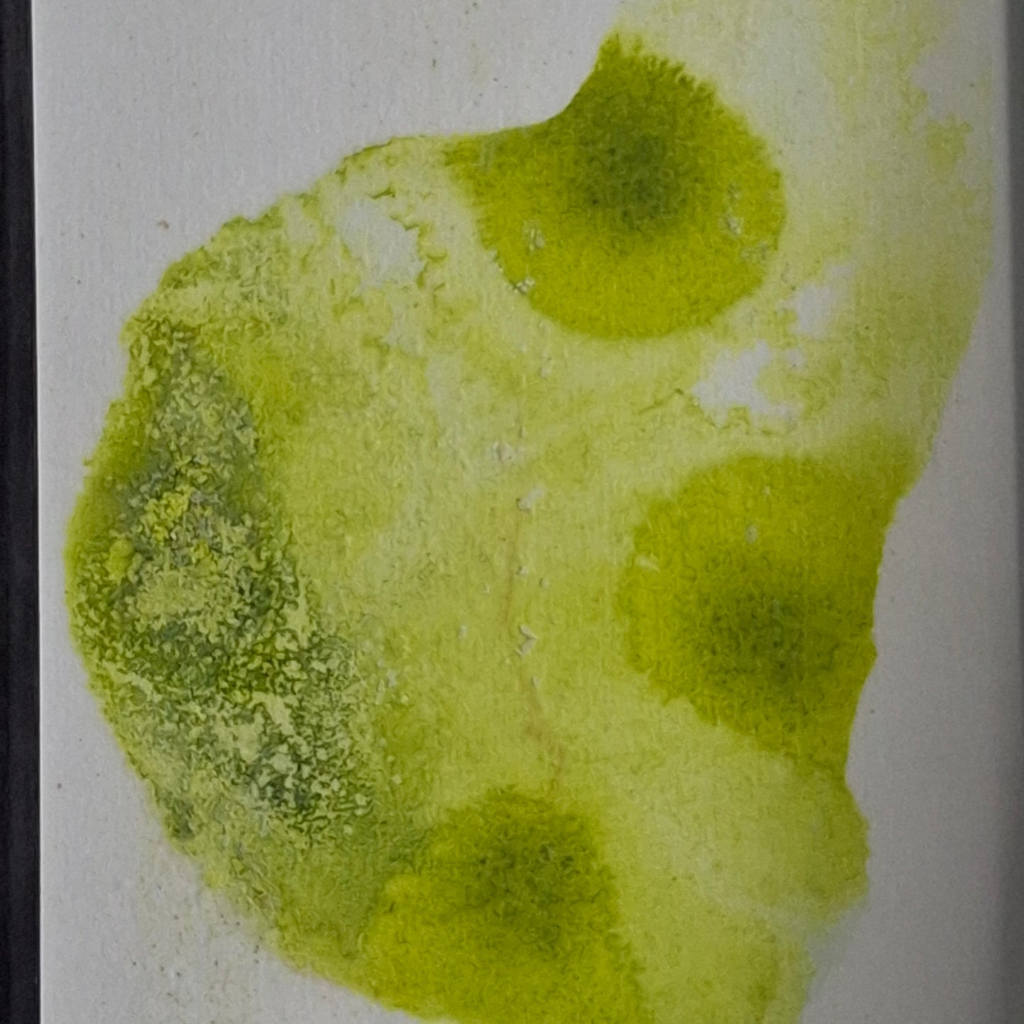 Whispers of Whimsy Original Artwork Green