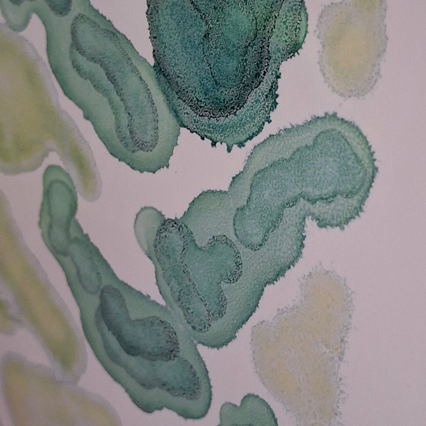 Currents of Calm  Original Artwork Mixed Greens Alcohol Ink A3