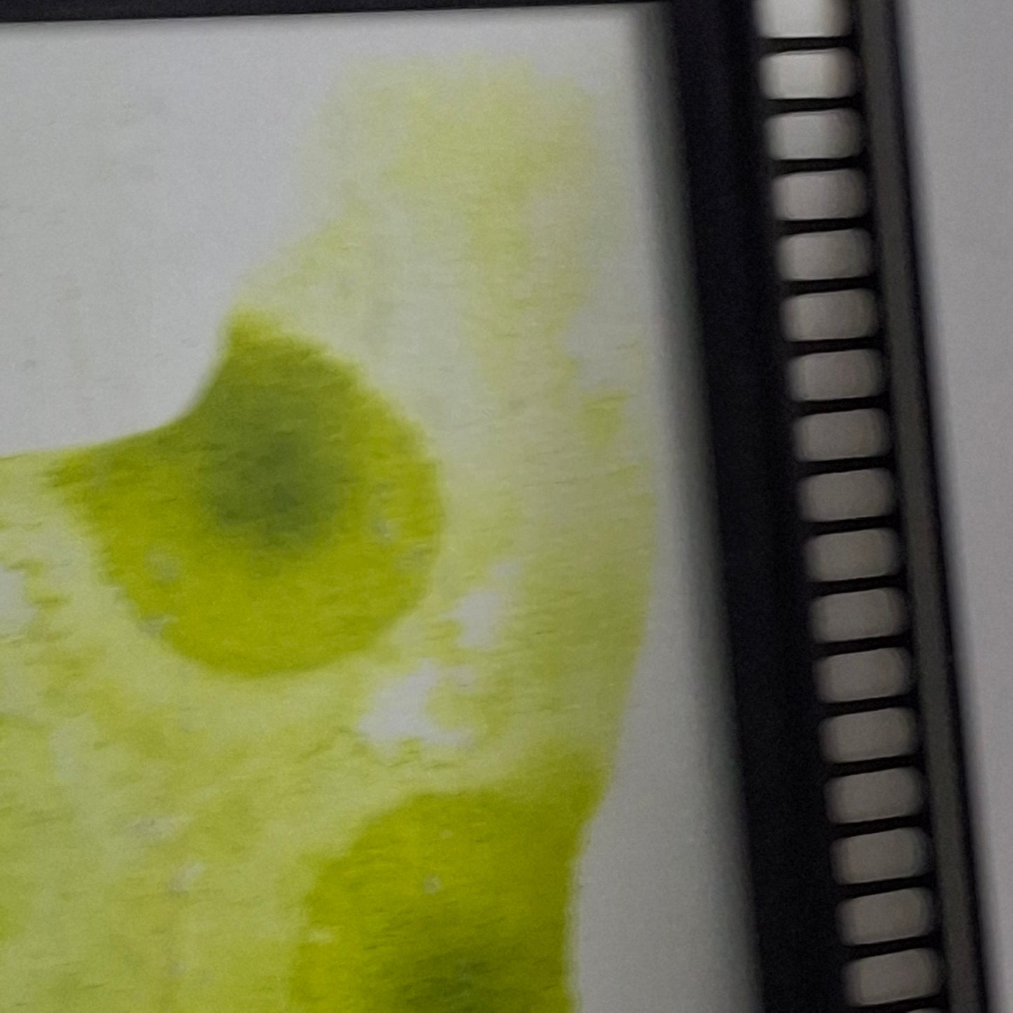 Whispers of Whimsy Original Artwork Green