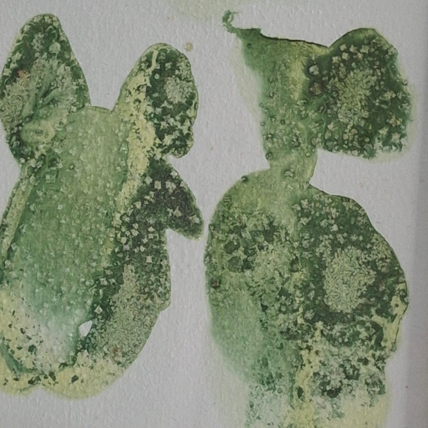 Whispers of Whimsy Original Artwork Green