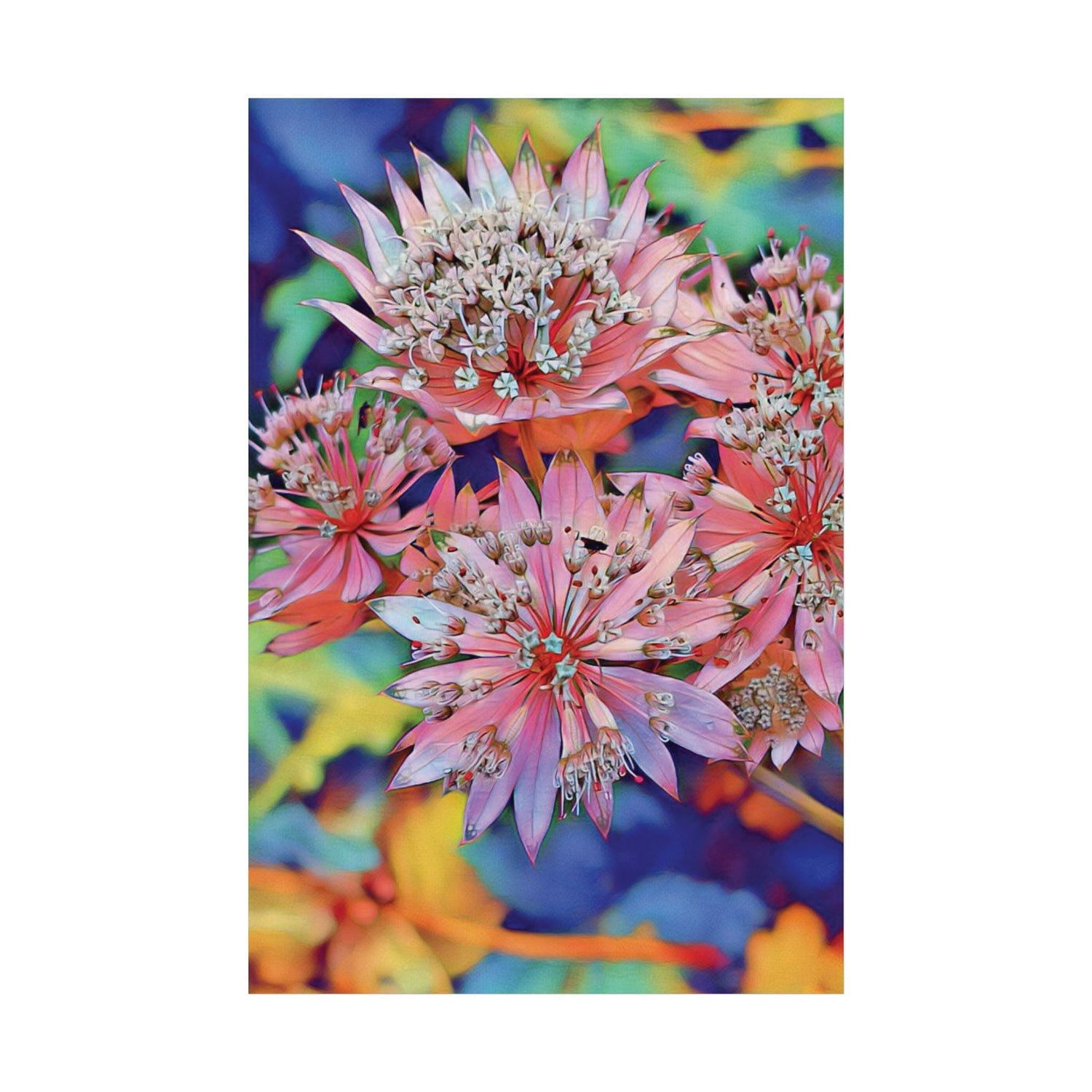 Art Print Posters