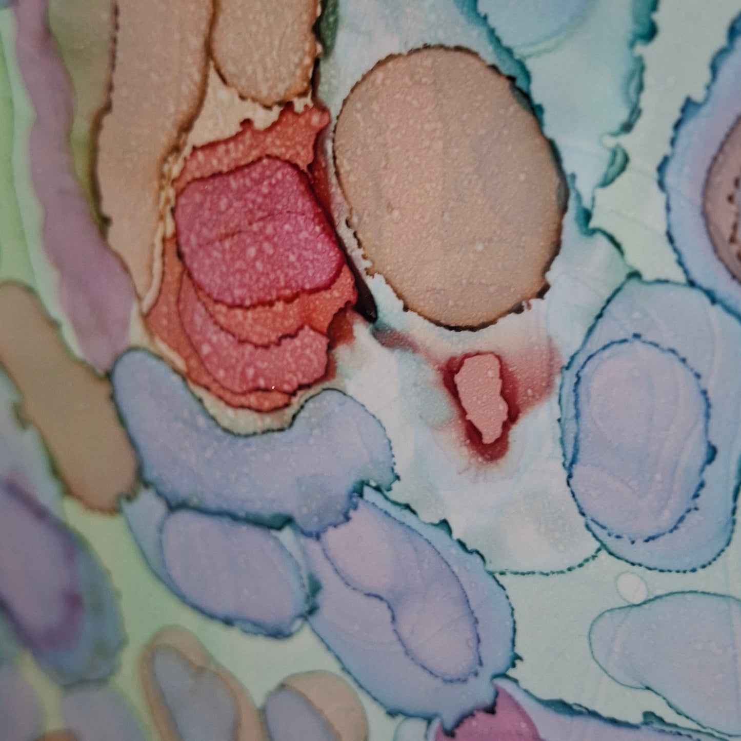 Coral Cay Original Artwork Mixed Blue Green Pink Beige Alcohol Ink A3