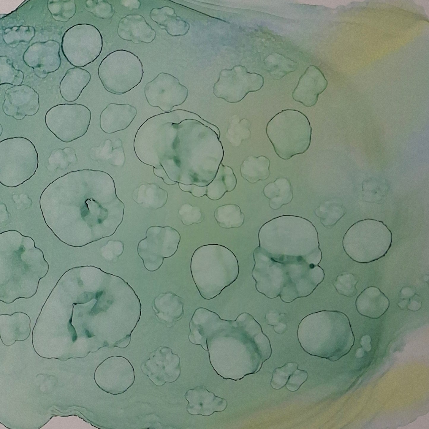Framed abstract alcohol ink artwork in seafoam green and pale blue by Elizabeth Marshall, titled “Ocean’s Memory,” inspired by the textures and colours of the sea.
