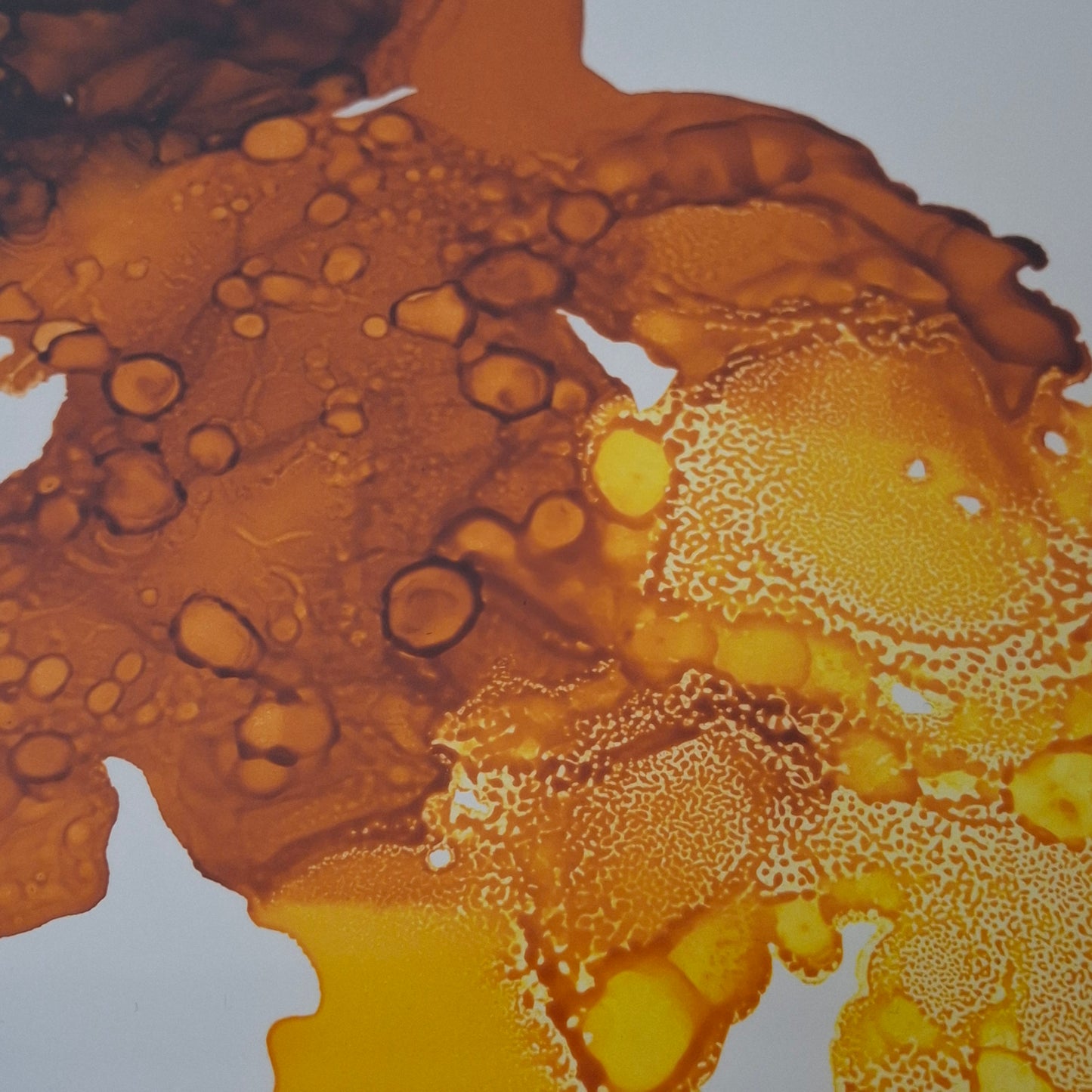 Amber Drift Original Alcohol Ink Artwork in Autumn Tones