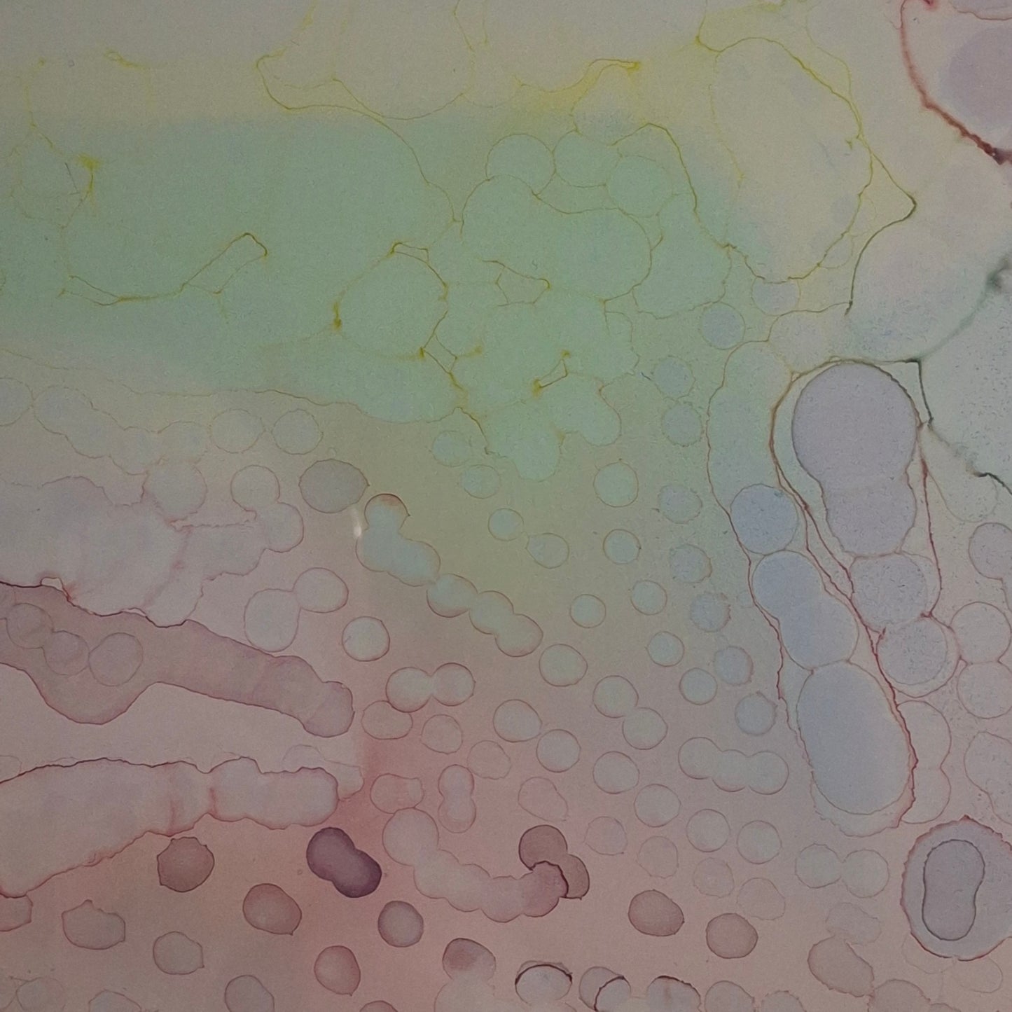 Peacefulness Under the Microscope Original Abstract Art Pastel Pinks Purples Blues Greens Alcohol Ink A3