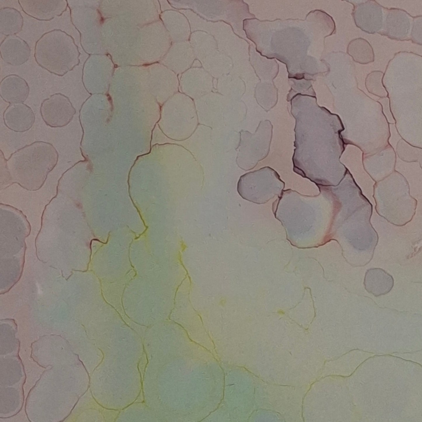 Peacefulness Under the Microscope Original Abstract Art Pastel Pinks Purples Blues Greens Alcohol Ink A3